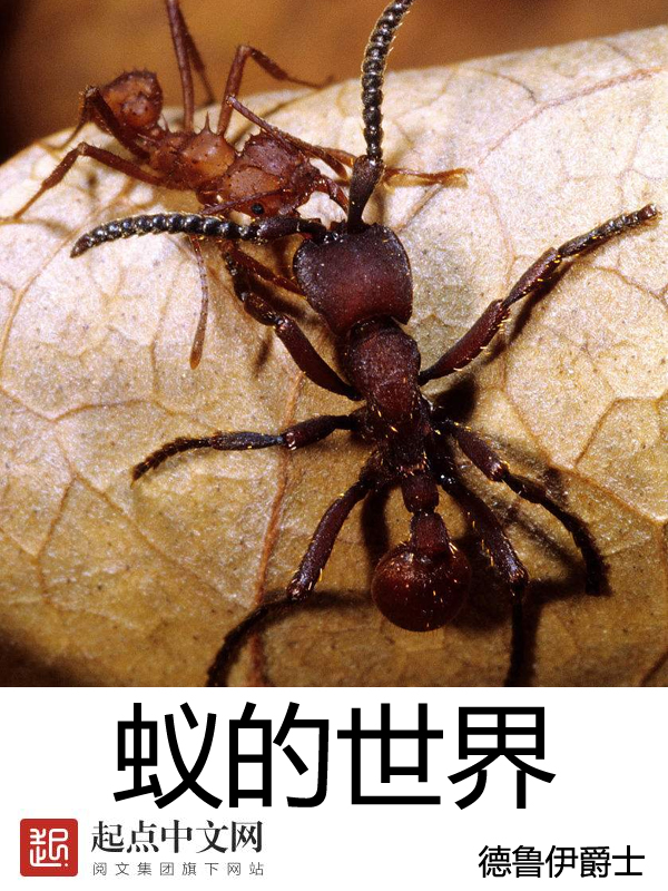 蚁族的奋斗